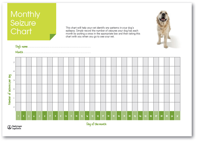 Dog Years Chart Months